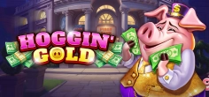 Hoggin' Gold