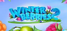 Winterberries 2